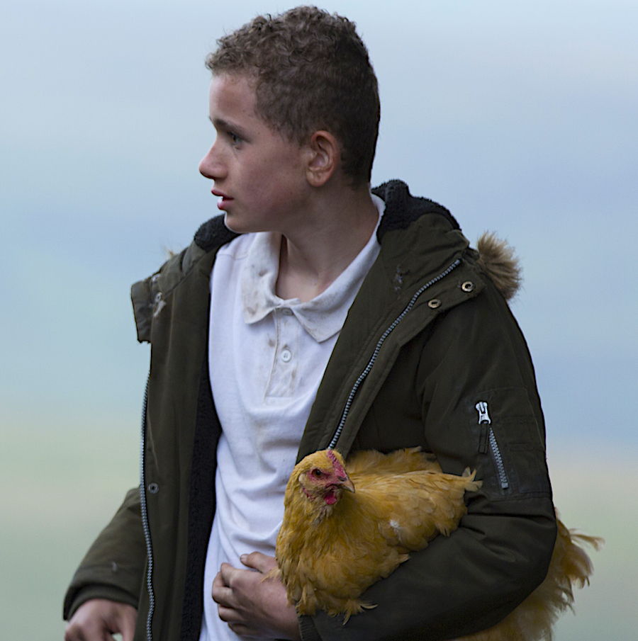 Vera, Series 7, review 'brilliant Blethyn stuck in bogstandard drama